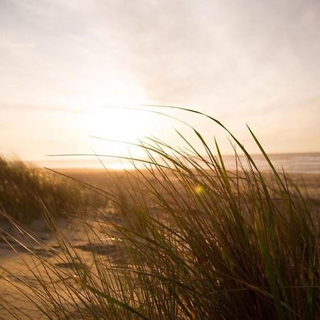 Grosse Nordseewelle Ohne Hund Norden Kültér fotó