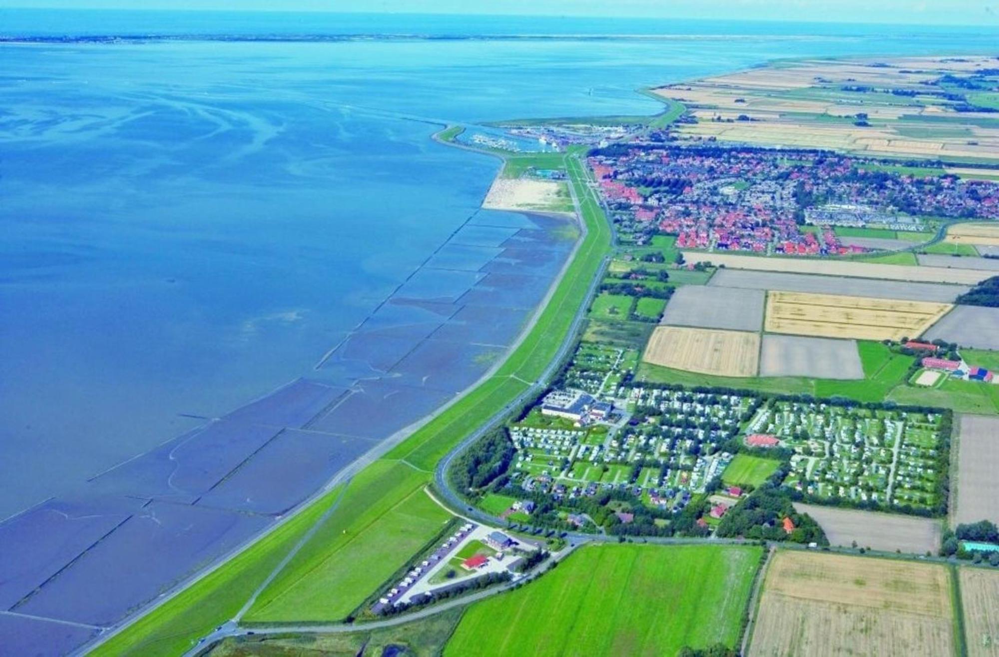 Grosse Nordseewelle Ohne Hund Norden Kültér fotó