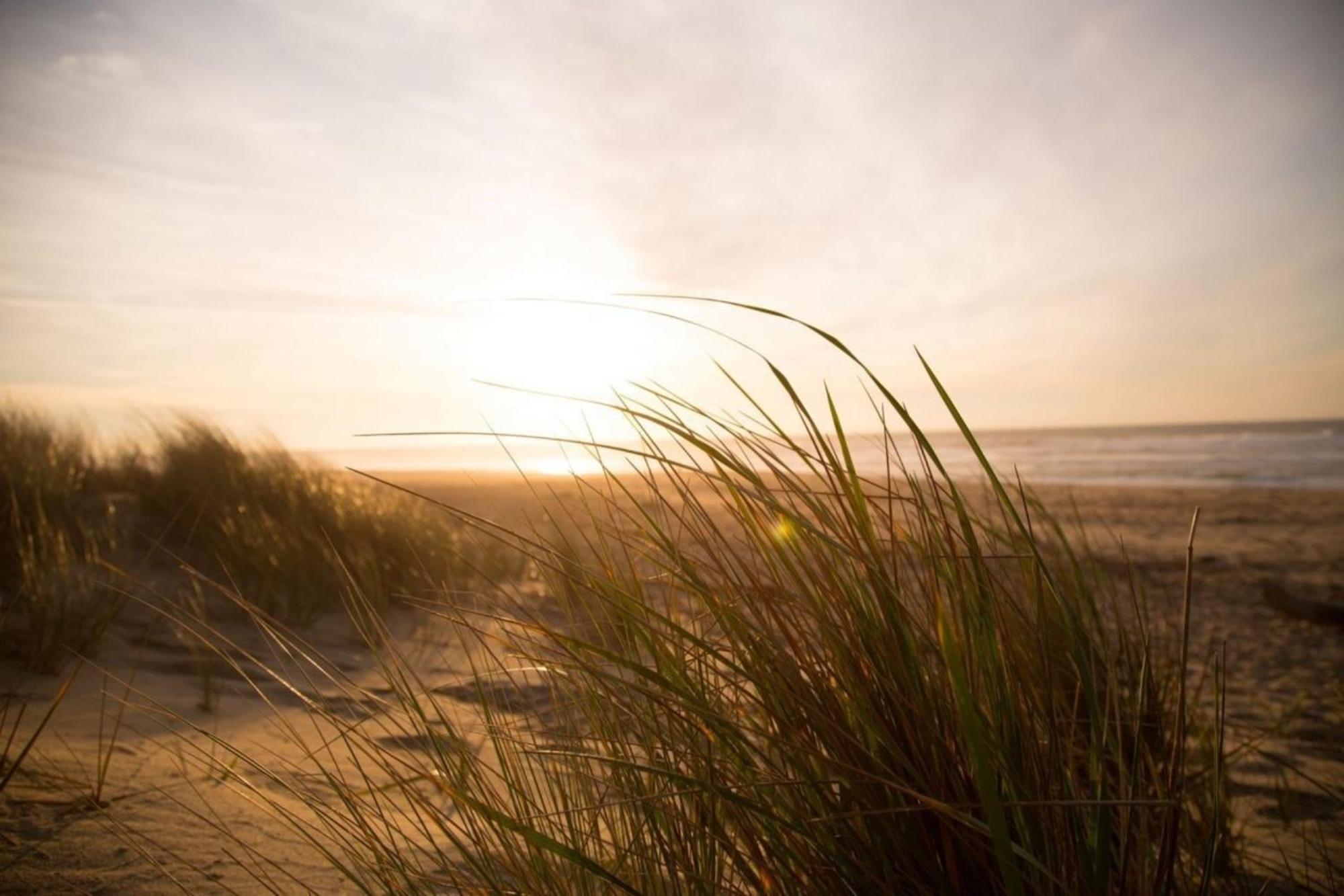 Grosse Nordseewelle Ohne Hund Norden Kültér fotó